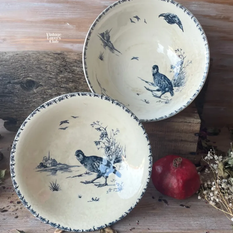 Perdrix Tall Comport