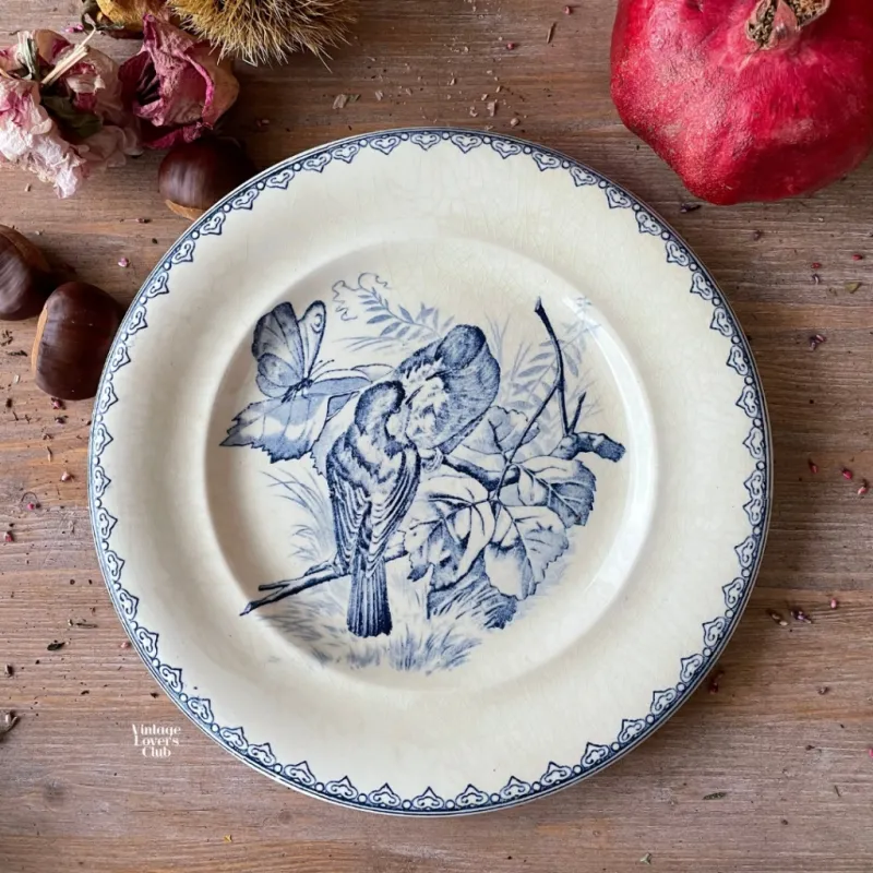 Flat Plate Terre de Fer Passerotti Felato