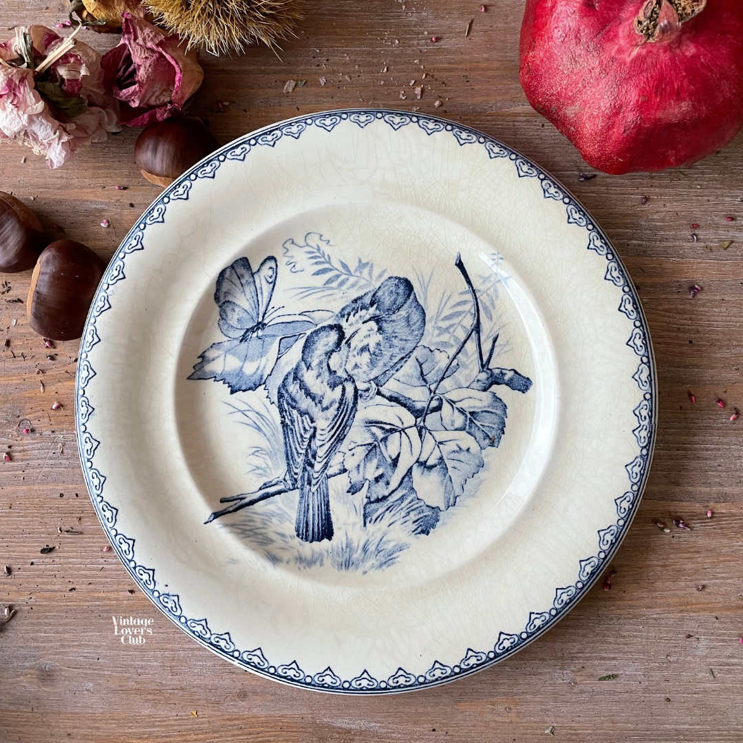 Fruit Plate Terre de Fer Passerotti