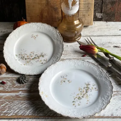 Dessert Saucer