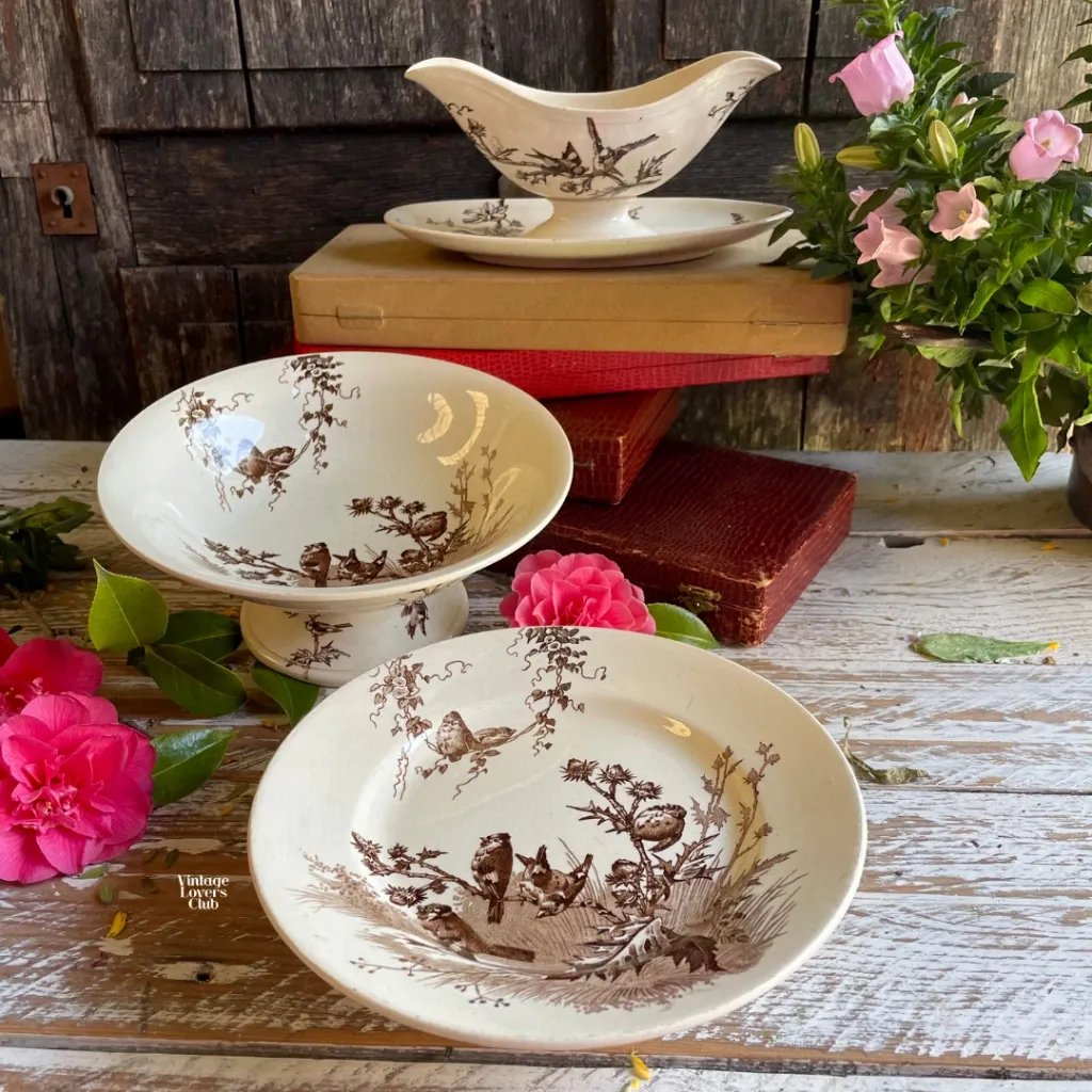 Creil Montereau Chardonneret Shallow Bowl