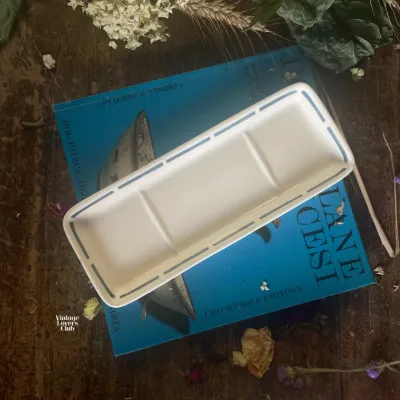 Comb Holder Blue Line