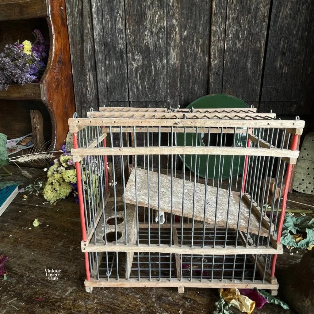Birdcage for Small Birds