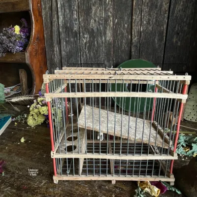Birdcage for small birds