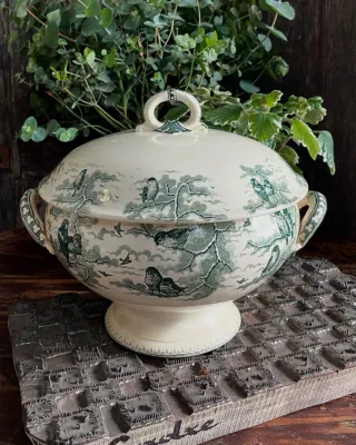Neige Sarreguemines Tureen