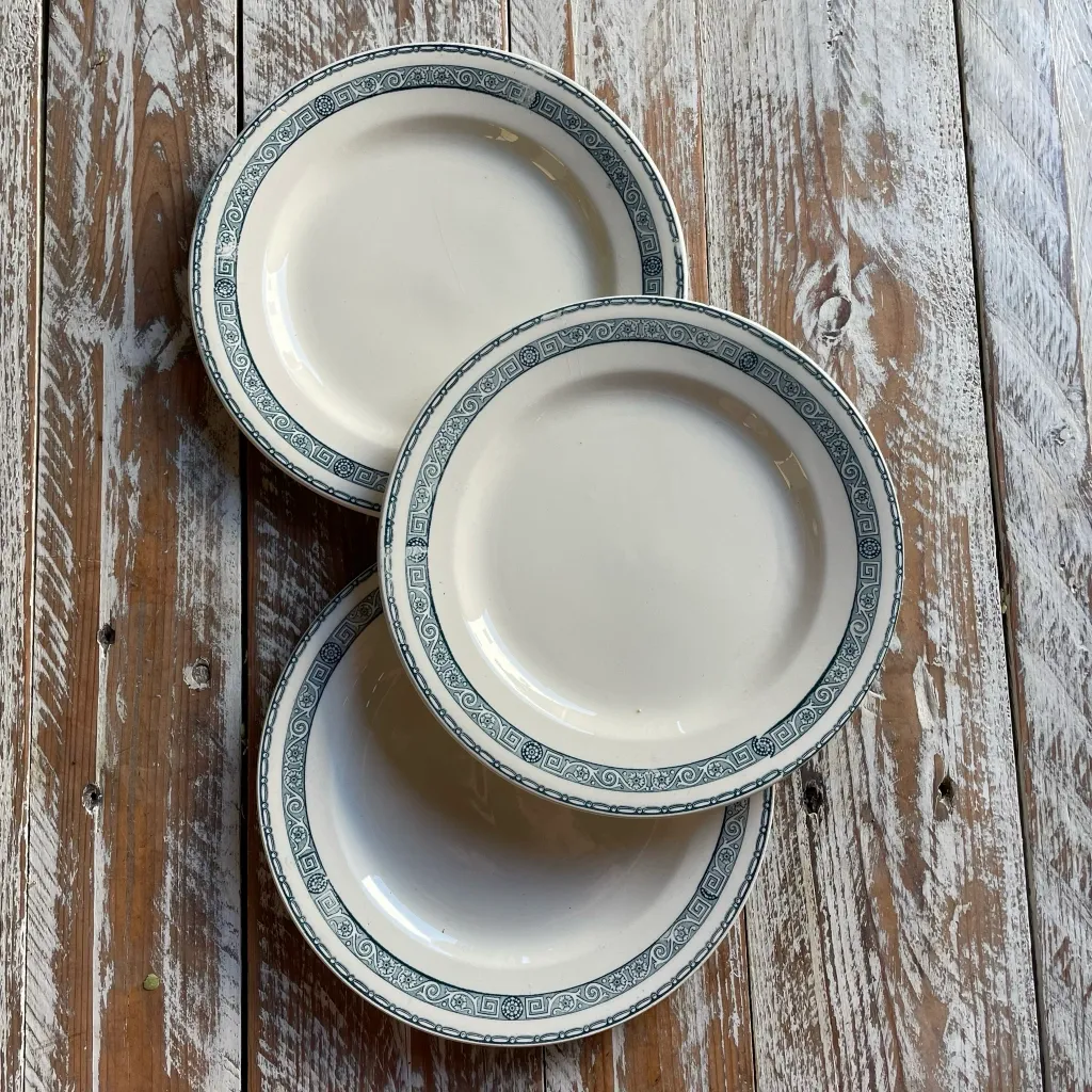 Pasteur Green Dinner Plate Salins