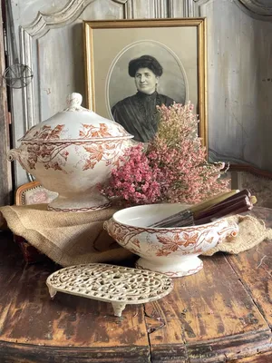 Terre de Fer Tureen Longwy – Bryonne Pattern