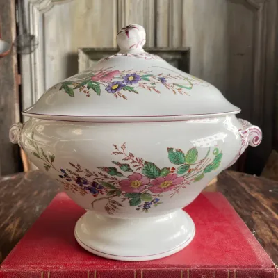 Tureen Faïence de Longwy – Polychrome Floral Pattern
