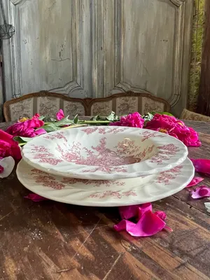 Soupe Plate Myott Staffordshire – Bountiful Pattern