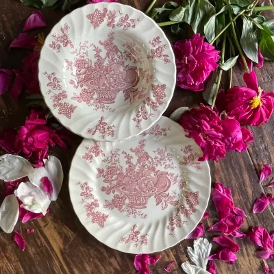 Dinner Plate Myott Staffordshire – Bountiful Pattern