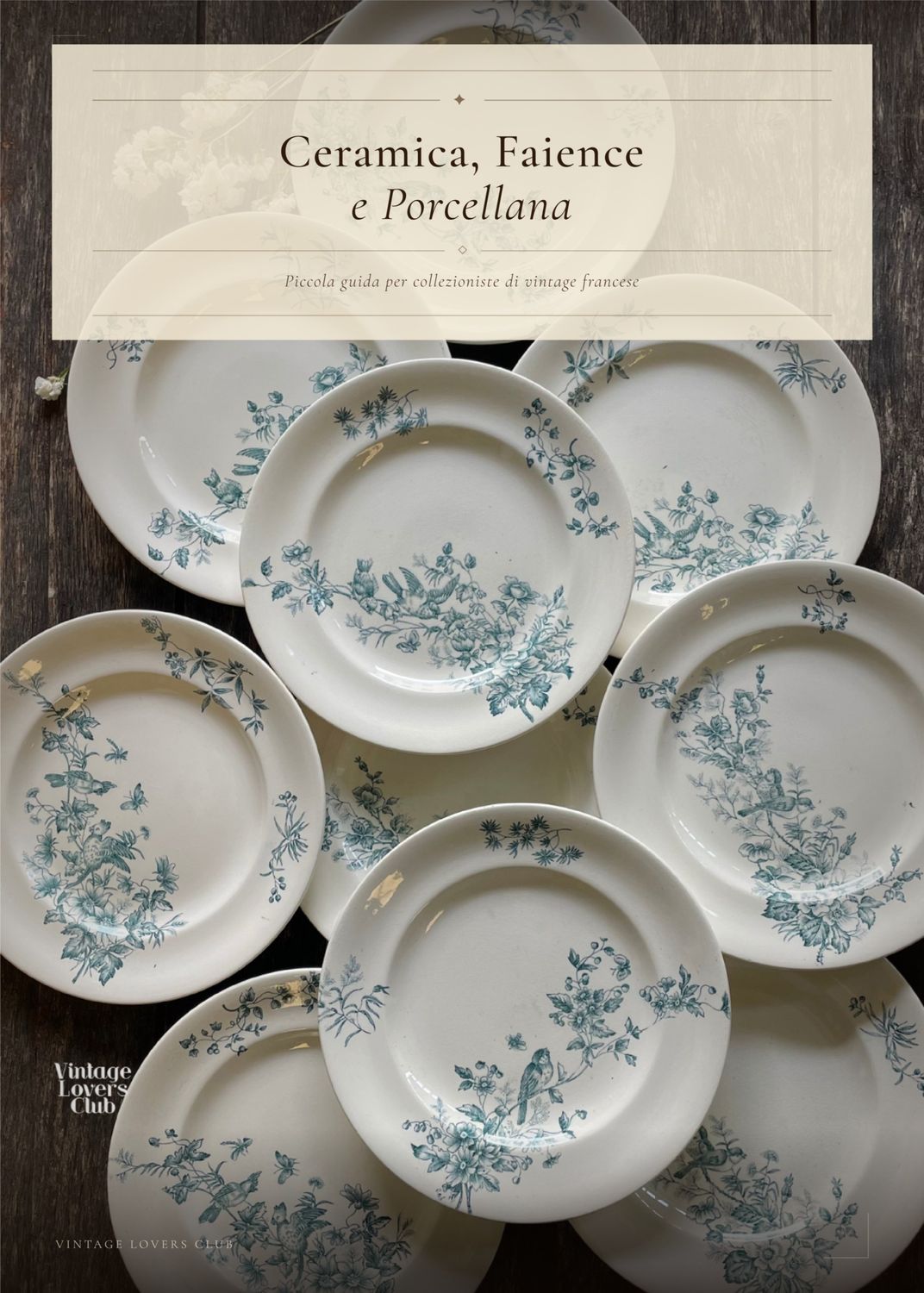 Ceramica, Faience e Porcellana!!