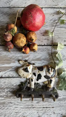 Appendini con Mucca