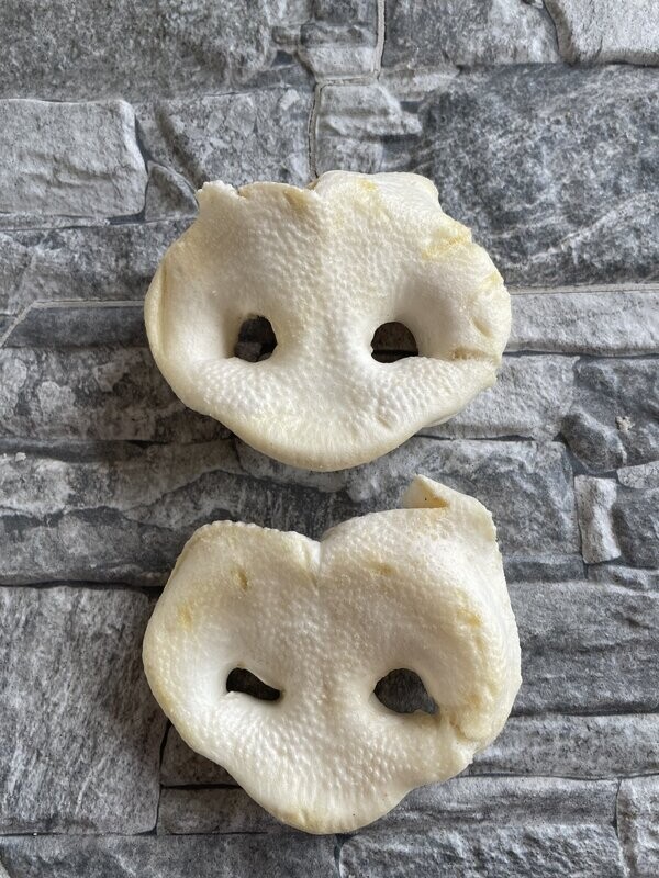 Puffed Piggy Snouts (x1)