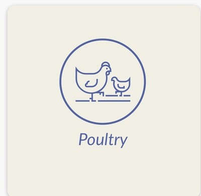 Chicken/Turkey/Goose/Duck