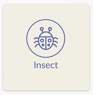 Plant/Insect Based