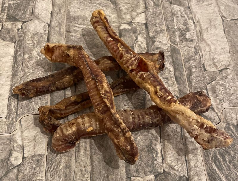 Lamb Trachea (x1)