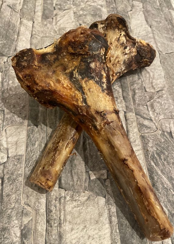 Ostrich Tibia (x1)