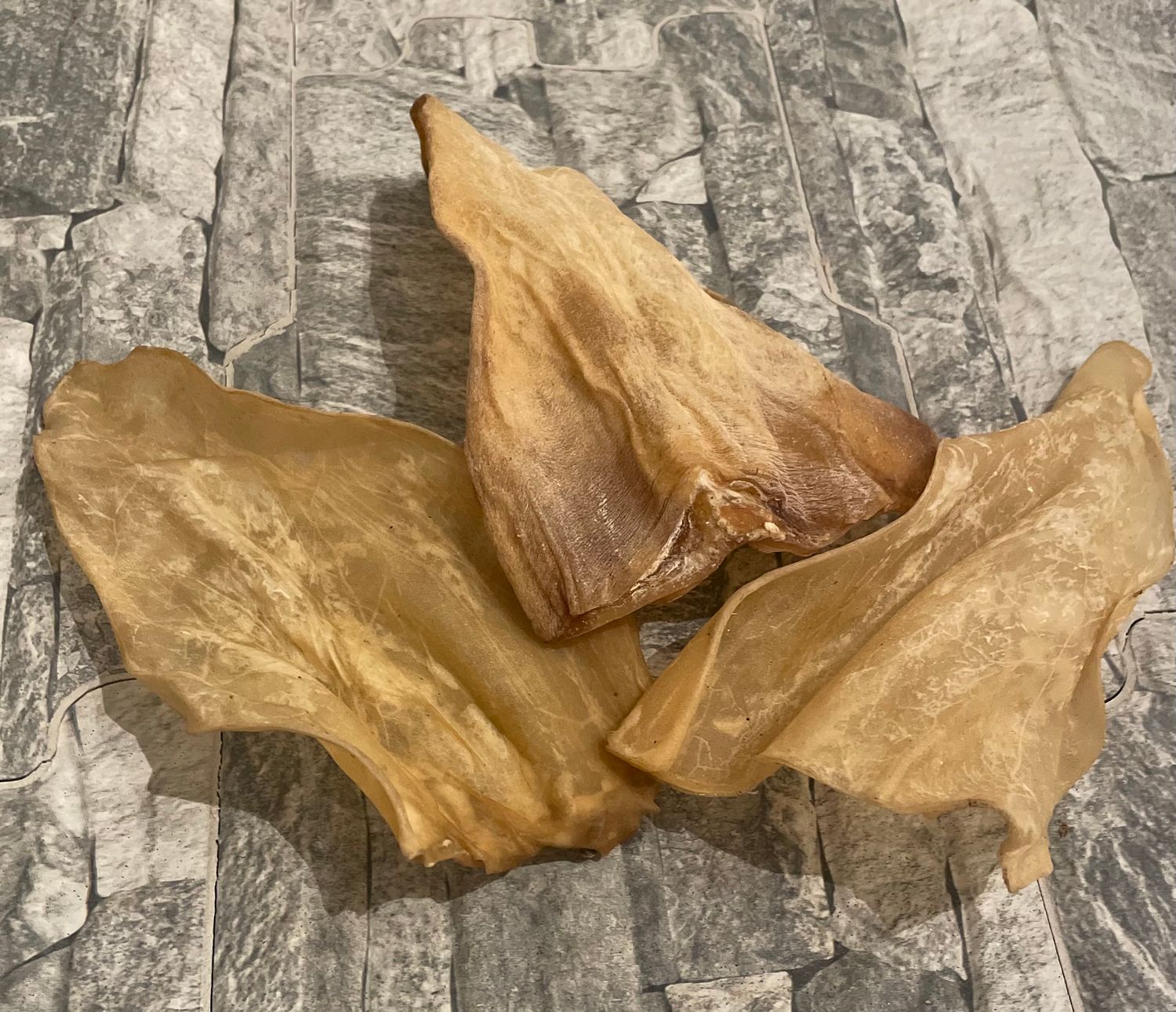 Non Hairy Cow Ear
