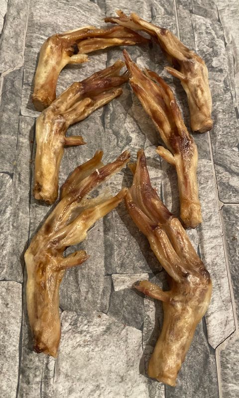 Duck Feet (x1)