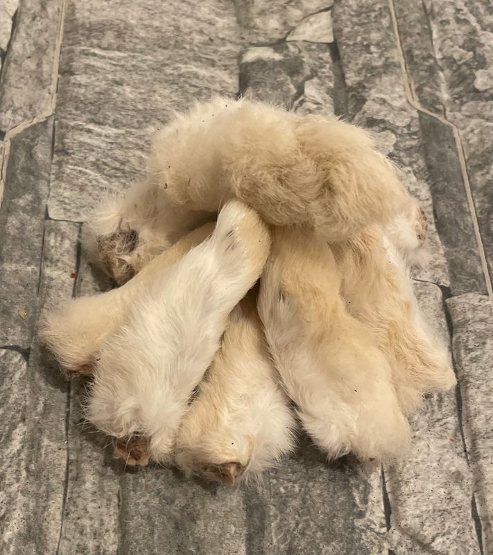 Rabbit Feet (x1)