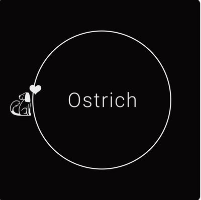 Ostrich