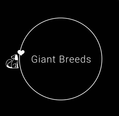Large & Giant Breeds