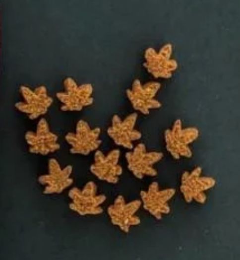 Beef, Duck & Hemp Bites 100g Beef, Duck & Hemp Bites 100g