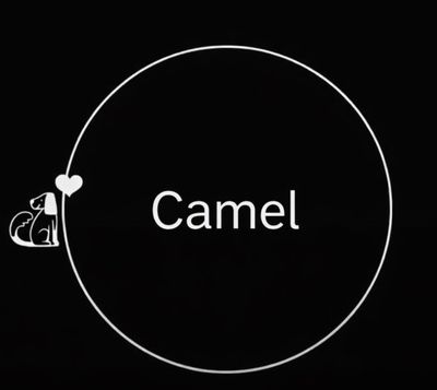 Camel