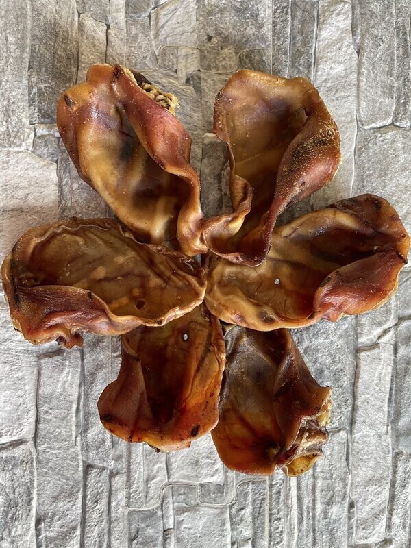 Piggy Ears (x1)