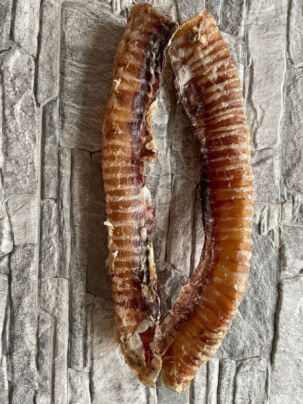 Buffalo Trachea (1 x 25-32cm)