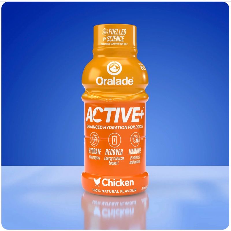 Oralade Active - Chicken
