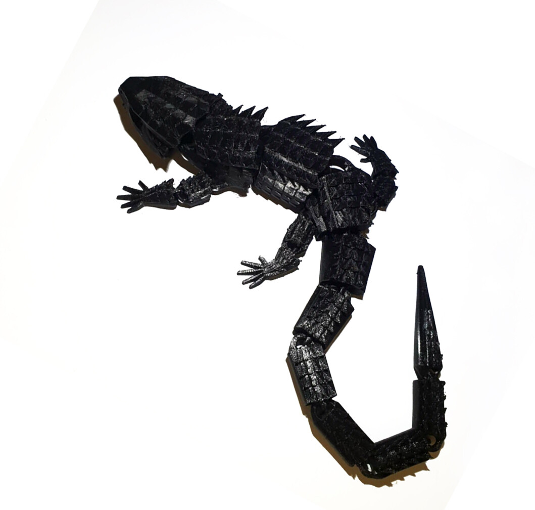 Crocodile Skink