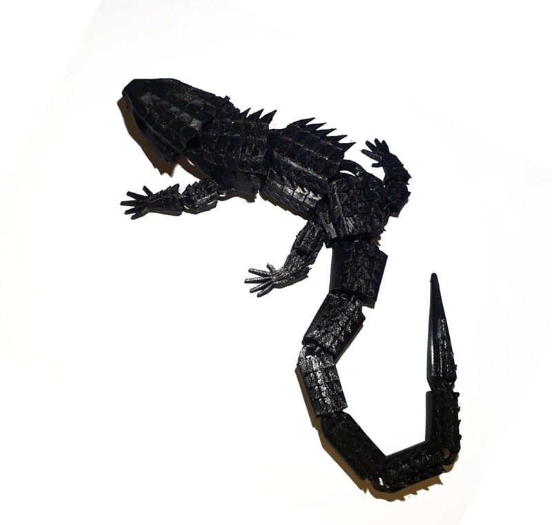 Crocodile Skink