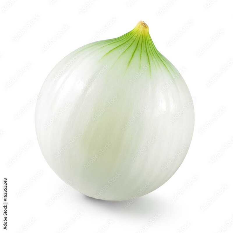 Zwiebeln geschält Bio