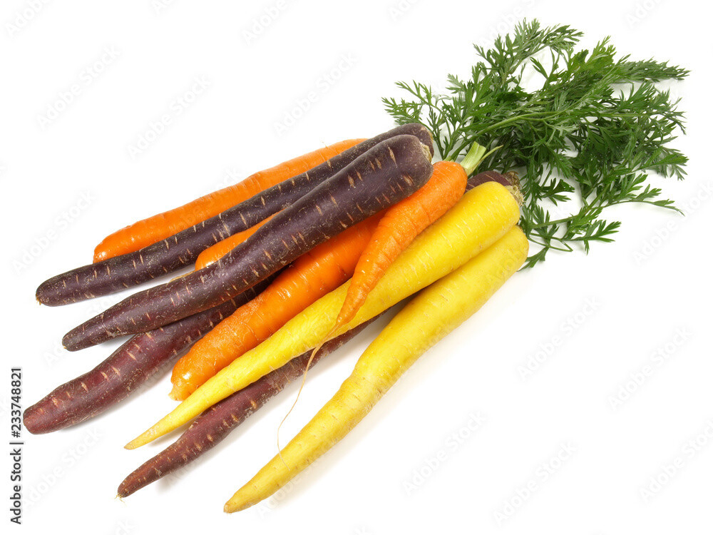 Karotten Mix farbig Bio