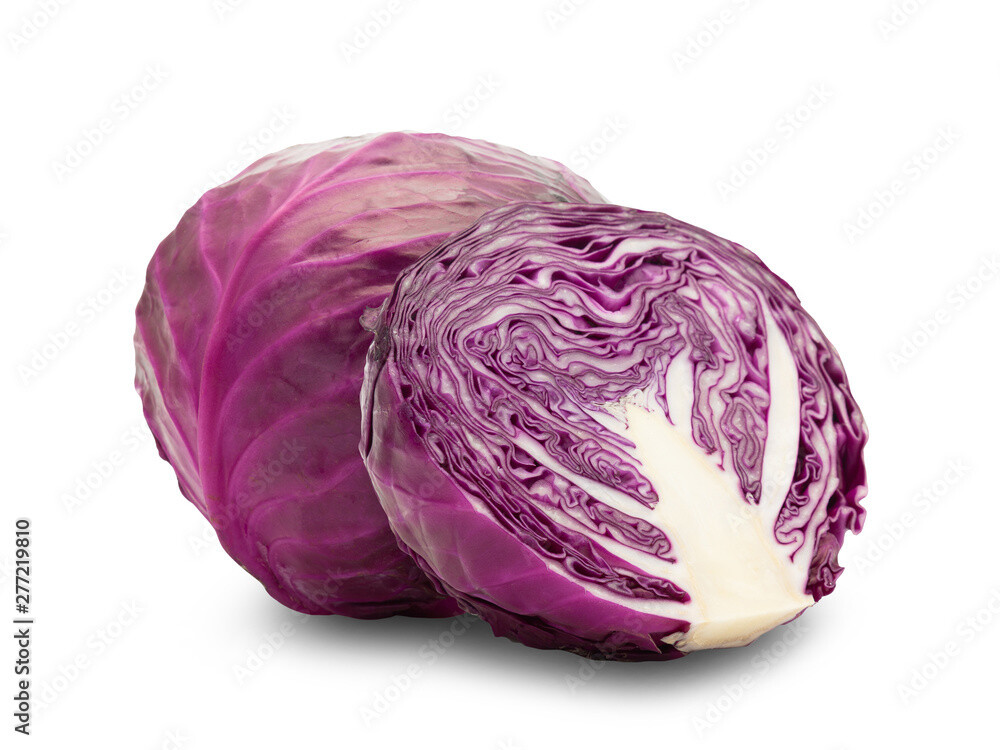 Rotkabis Bio