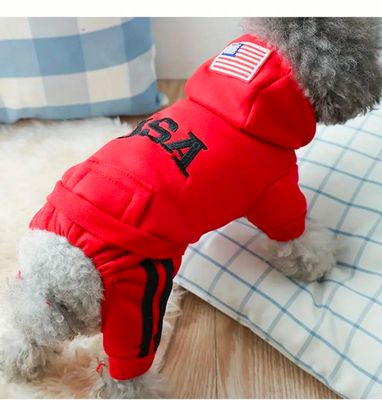 Winter Dog Sweater