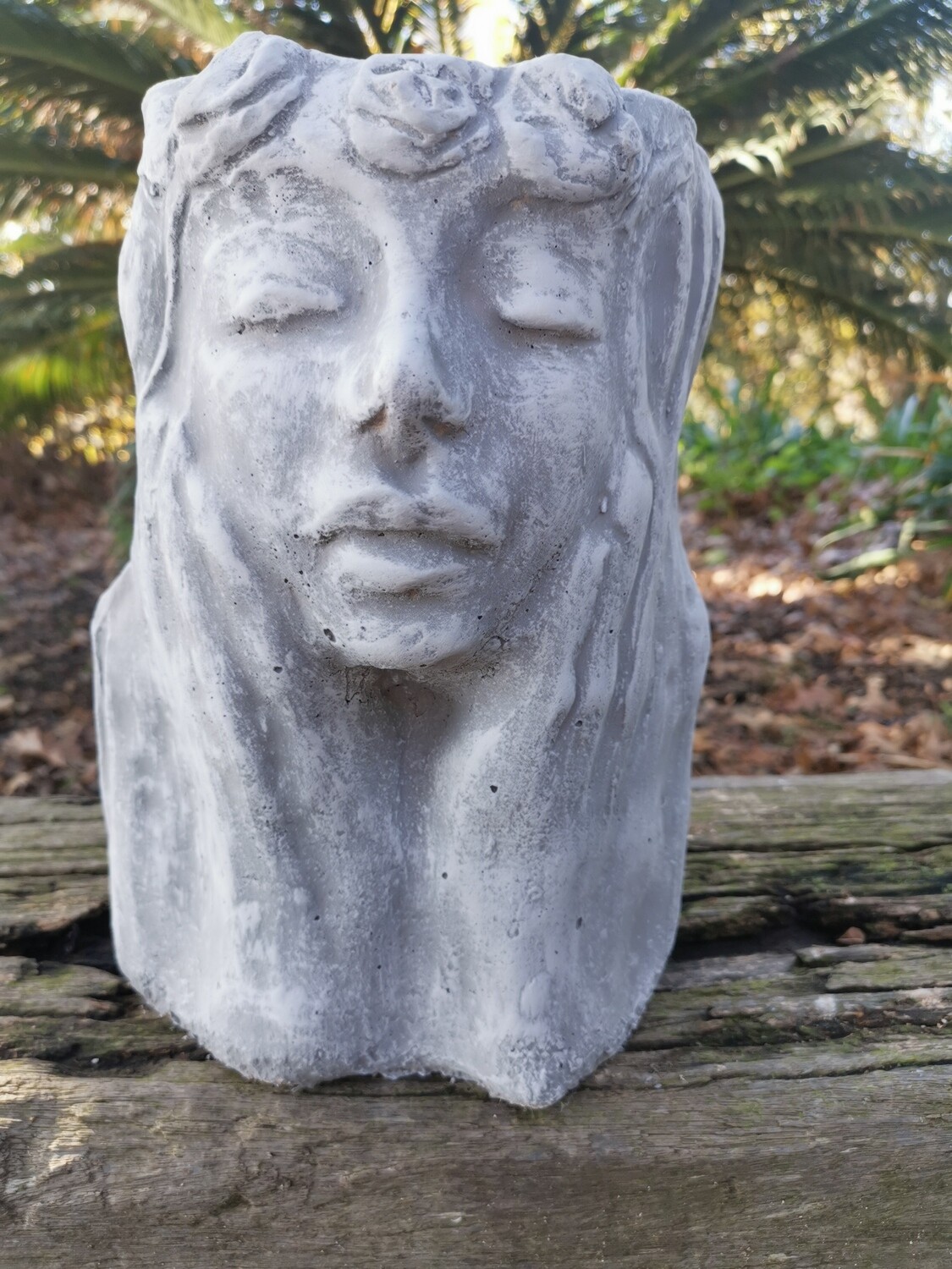 Day Dreamer Planter