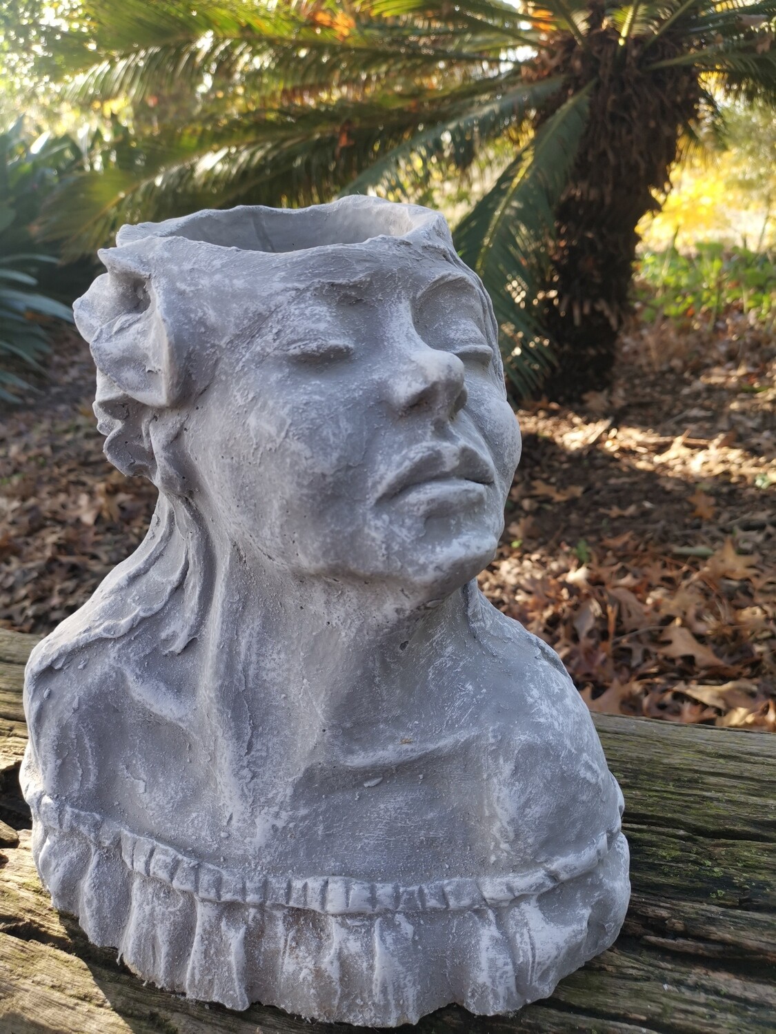 Sue Planter