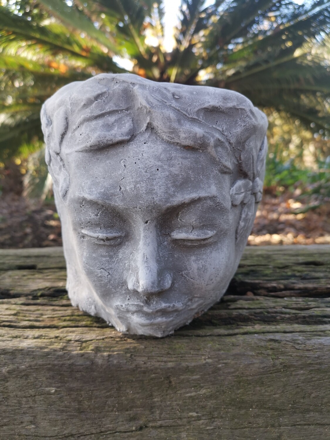 Norma Planter