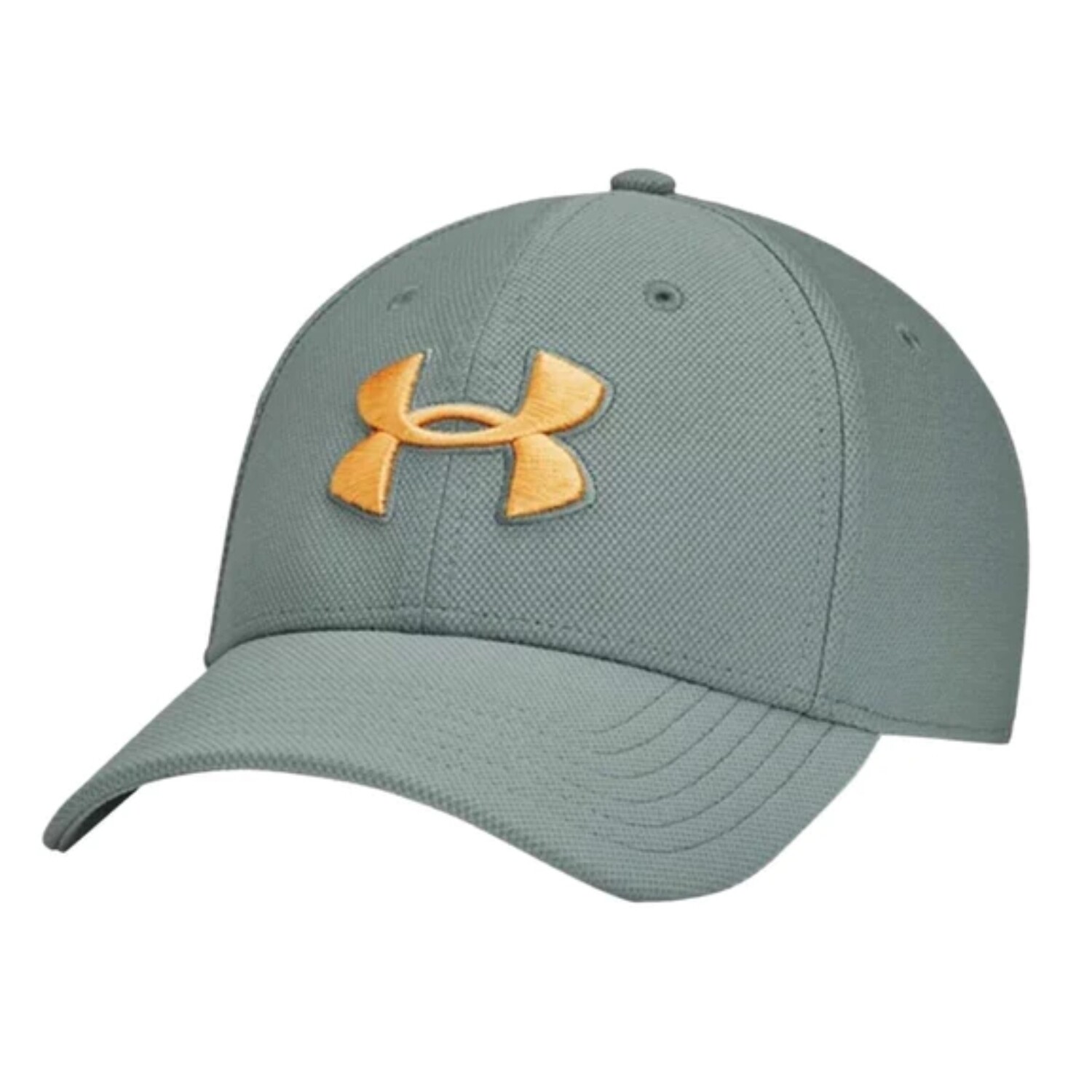UNDER ARMOUR MEN BLITZING 30 CAP 1305036-781