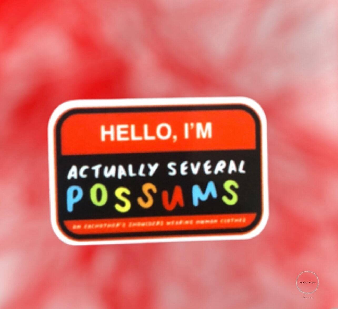 I’m Actually Several Possums - Acrylic - Needle Minder - Pin - Magnet