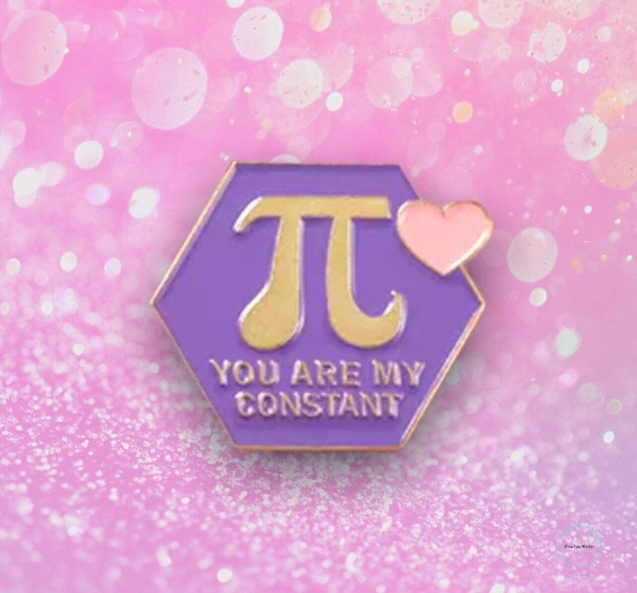 Pi - Math - You Are My Constant - Needle Minder - Pin - Magnet