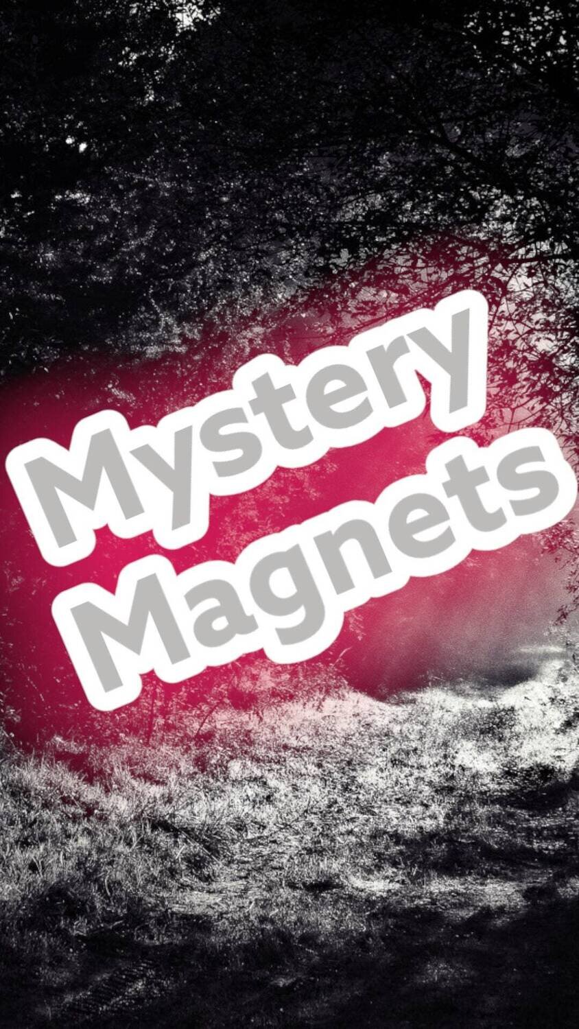 Mystery Magnets! Surprise Surprise!!! Needle Minder - Pin - Magnet