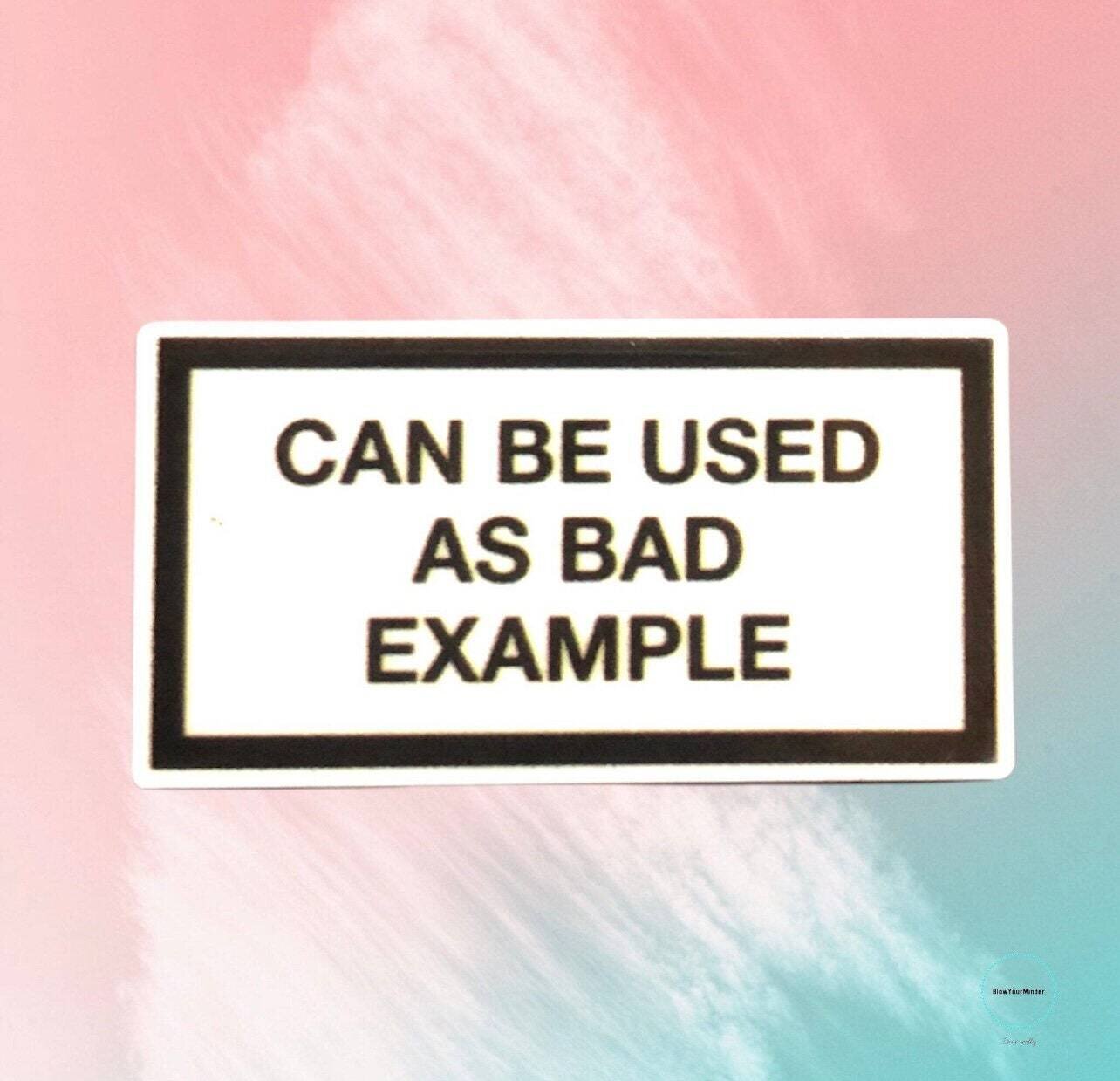 Can Be Used As Bad Example - Snarky - Funny - Acrylic - Needle Minder - Pin - Magnet