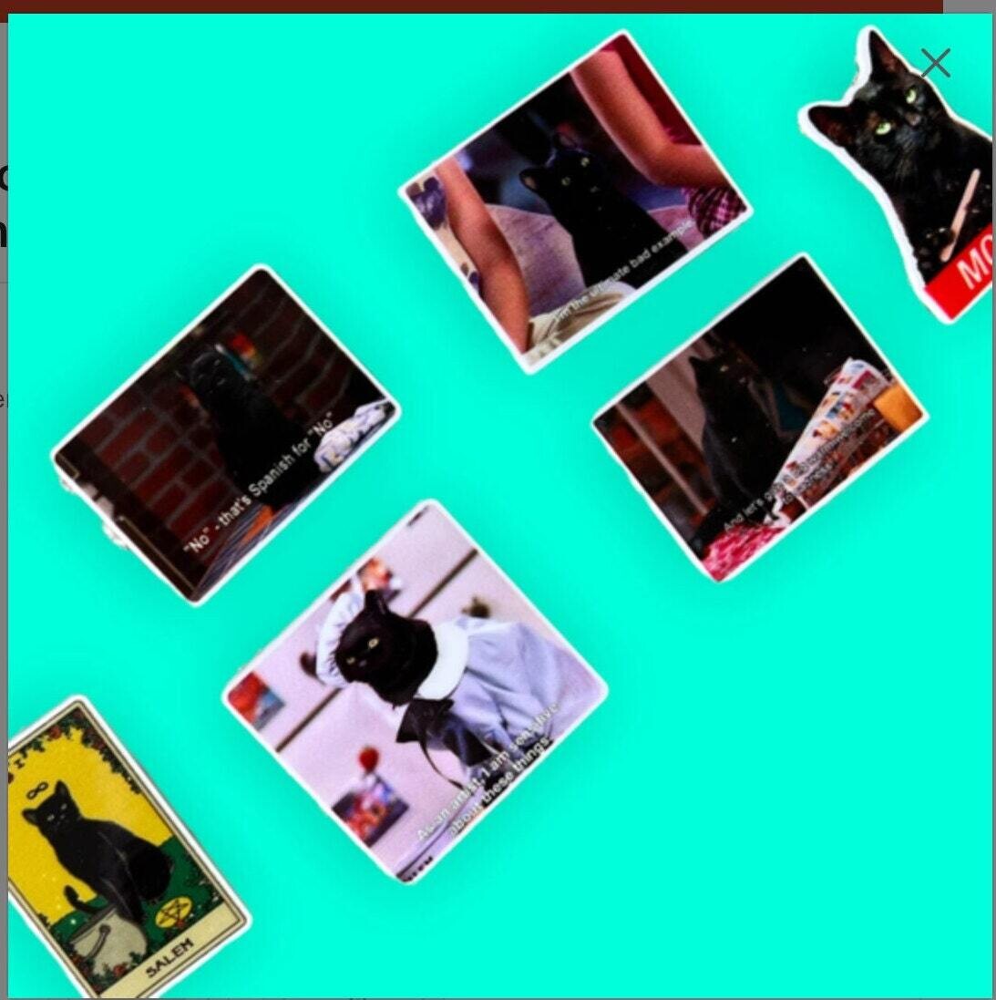 Salem - Cat - Sabrina - Teenage Witch - Snarky Cat - Tv Show - Funny - Acrylic - Minder - Needle - Pin - Magnet