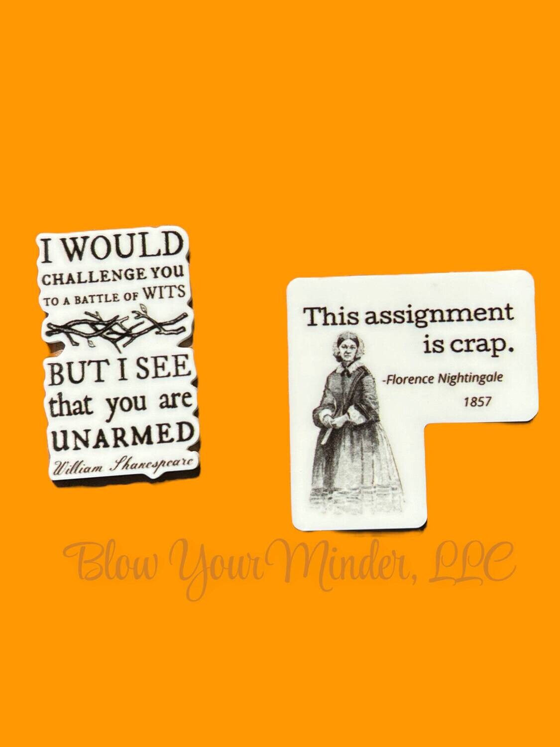 Florence Nightingale - Shakespeare - This Assignment Is Crap - History - Funny - Snarky - Woman - Acrylic - Minder - Needle - Pin - Magnet