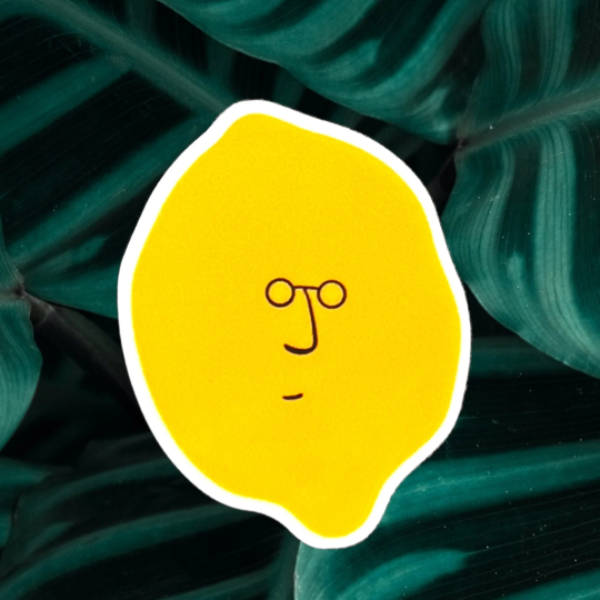 Lemon Head - Acrylic - Needle Minder - Pin - Magnet