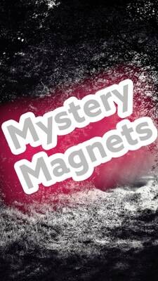 Mystery Magnets! Surprise Surprise!!! Needle Minder - Pin - Magnet