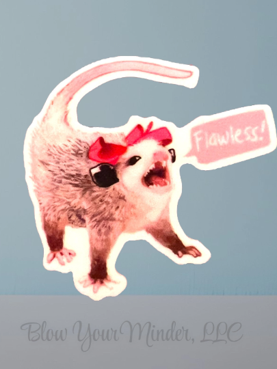Flawless Opossum - Funny - Scream - Pretend To Be Dead - Acrylic - Needle Minder - Pin - Magnet